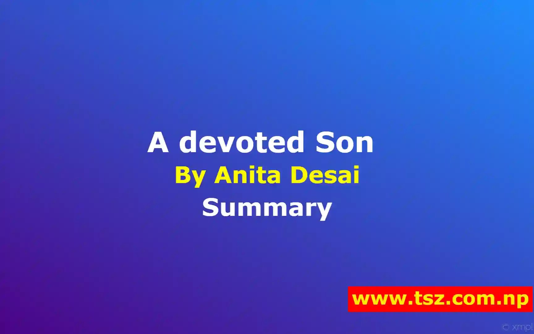 village by the sea by anita desai questions and answers