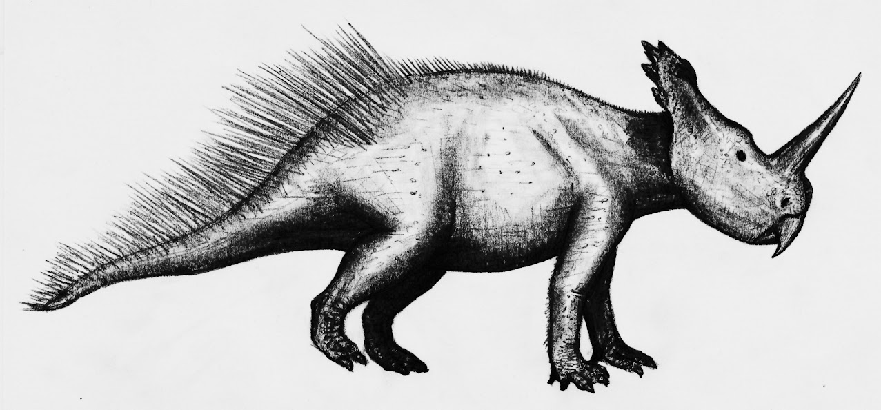 centrosaurus sp.