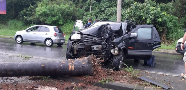 Motorista perde o controle e bate em árvore em avenida de Mogi