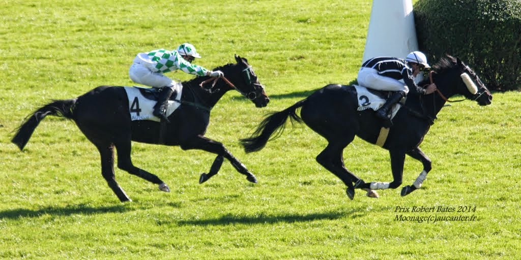 Photos Auteuil 18-10-2014 IMG_4808