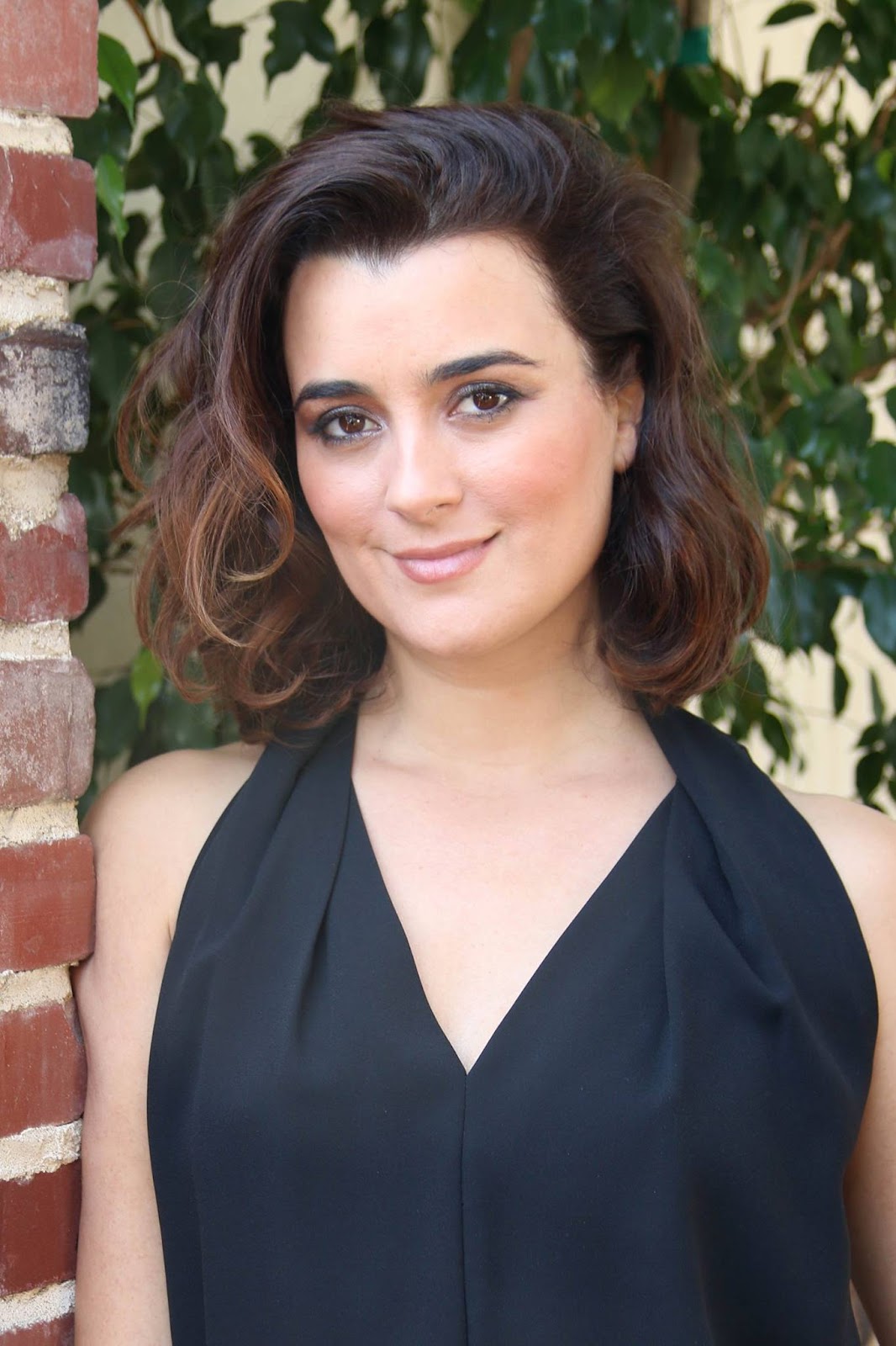 Real Cote De Pablo Nude Pics Sex Pics