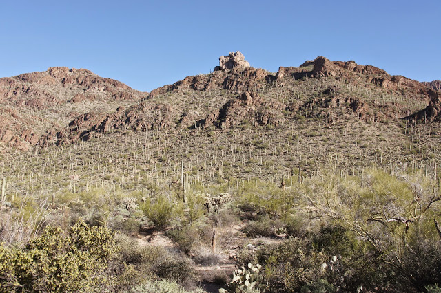 В поисках лета по юго западу США, или кактусы, красные скалы, города привидений (закончен)