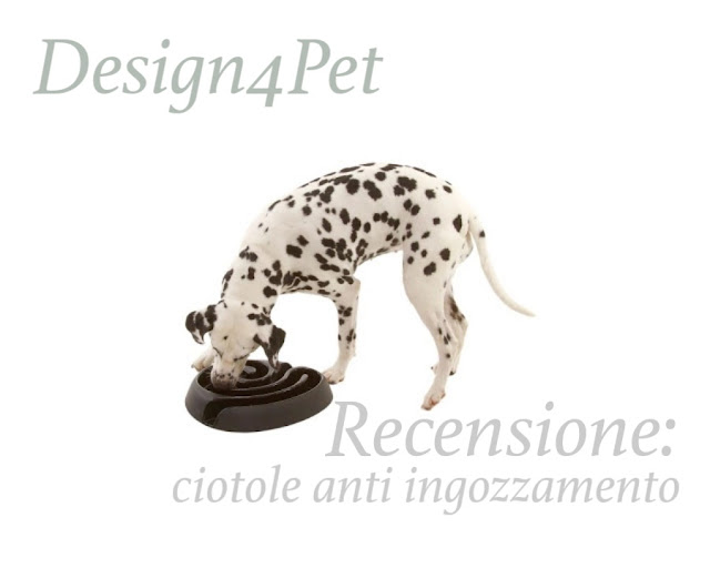 design4pet_ciotole anti ingozzamento