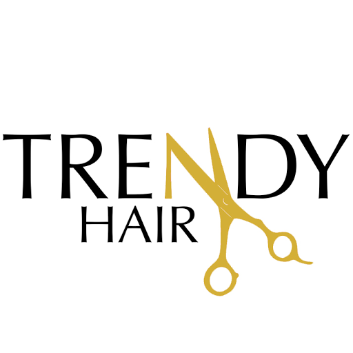 Trendy Hair logo