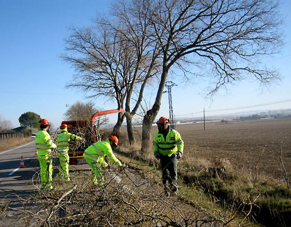 Campaña 2015 de Desbroces de Márgenes de Carreteras