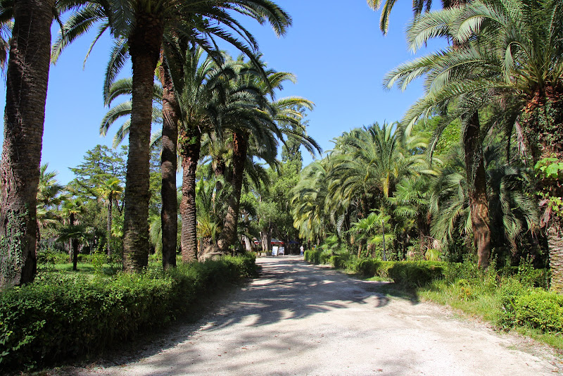 Путешествие в Абхазию, август 2014 г.