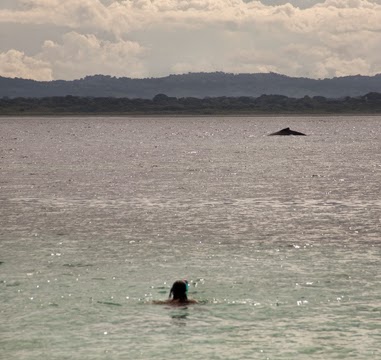 DEL CARIBE AL PACÍFICO: Bocas del Toro, Azuero, Panamá city - PANAMÁ - PANAMÁ Un viaje de 22 días entre dos aguas (16)