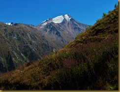 Lake Almaty Hillside