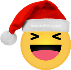 Emoji Haha Equisde