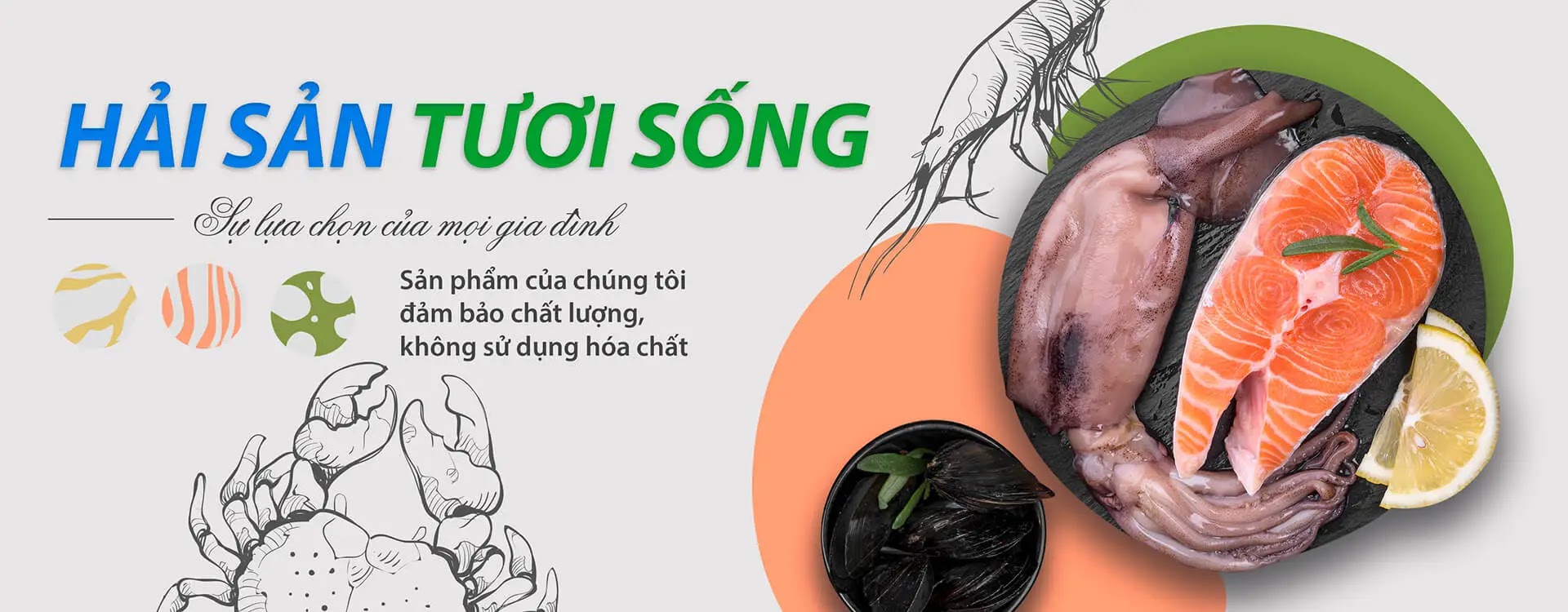 TocToc ( Mẫu Nông sản )