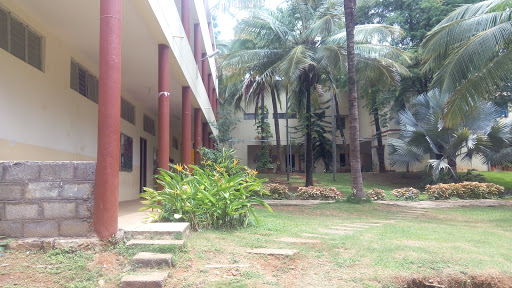 International Academy of Management & Entrepreneurship, No. 152/2, Nisarga Campus, Behind The Art of Living, Off Kanakapura Road, Udayapura Post, Bengaluru, Karnataka 560082, India, School, state KA