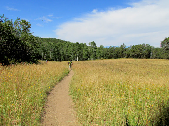 Meadow along the Squaw Peak trail