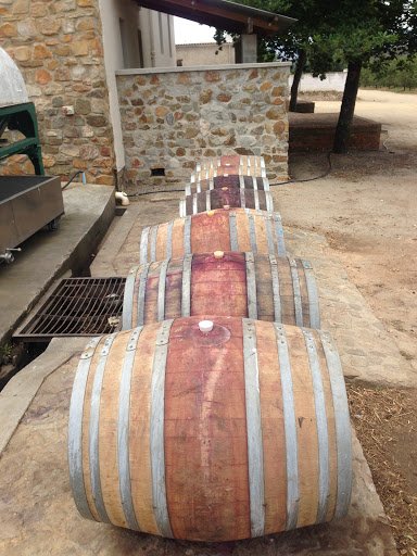 Joubert Tradauw Wine Farm