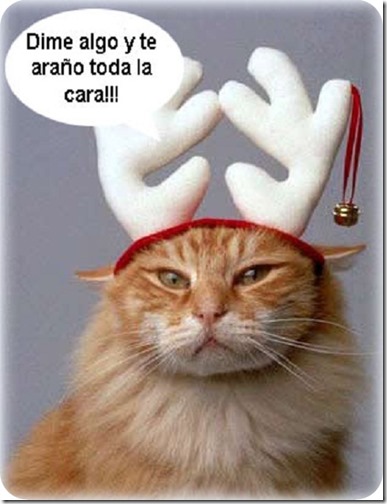 imagenes-humor-de-navidad-con-frases