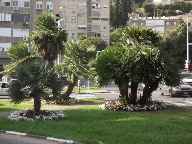 Бэкпэкинг по Израилю и Иордании. Октябрь 2011.