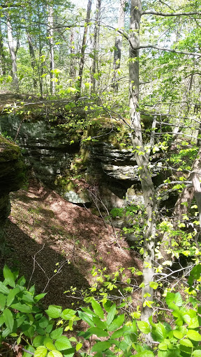 Nature Preserve «Fern Cliff Nature Preserve», reviews and photos, W County Rd 375 S, Greencastle, IN 46135, USA