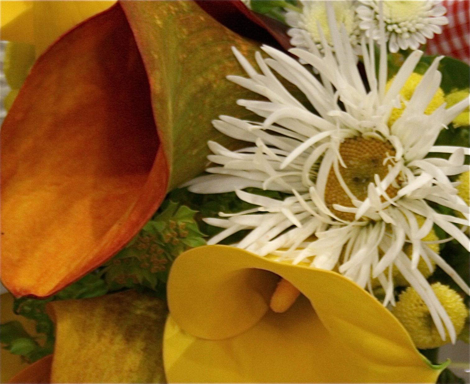 orange and yellow lily wedding