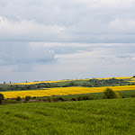 20140510_Fishing_Stara_Moshchanytsia_040.jpg