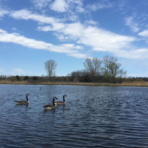 Nature Preserve «Nippersink Forest Preserve», reviews and photos, 900 W Belvidere Rd, Round Lake, IL 60073, USA