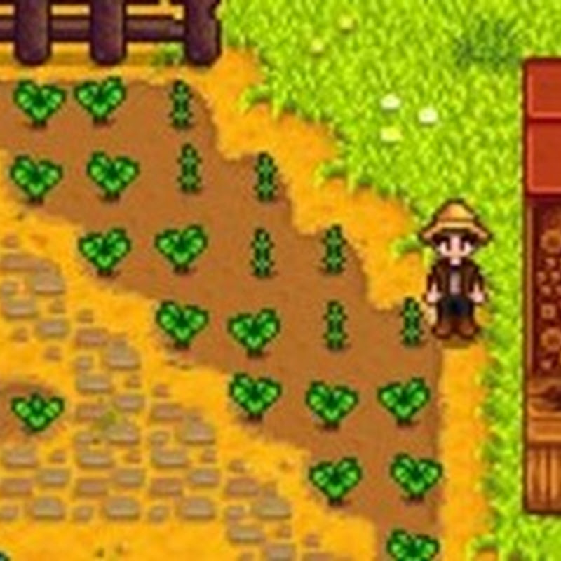 Stardew