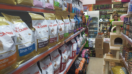 Pet Corner, Rose 2 17a St - 17a St - Dubai - United Arab Emirates, Pet Store, state Dubai