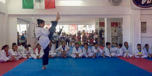 Do Taekwondo, Valle de México 3, Local 14, Valle Dorado, Bahía de Banderas, Nay., México, Escuela deportiva | NAY