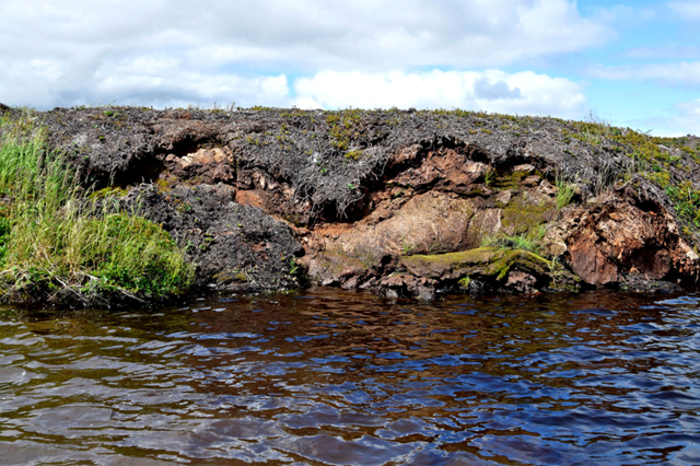 Permafrost melt in Alaska. Photo: John Schade / The New York Times