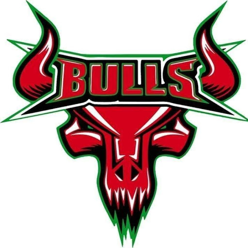 Mayo Bulls Ice and Inline Hockey Club logo