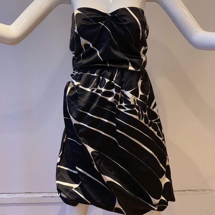 Emilio Pucci Strapless Dress