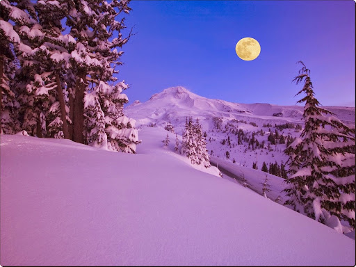 Moon Over Mount Hood at Dawn, Oregon.jpg