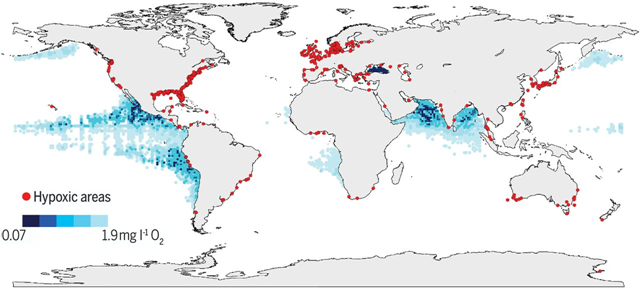 Low and declining oxygen levels in the open ocean and coastal waters affect processes ranging from biogeochemistry to food security. The global map indicates coastal sites where anthropogenic nutrients have exacerbated or caused O2 declines to <2 mg liter−1 (<63 μmol liter−1) (red dots), as well as ocean oxygen-minimum zones at 300 m of depth (blue shaded regions). Graphic: Breitburg, et al., 2018 / Science