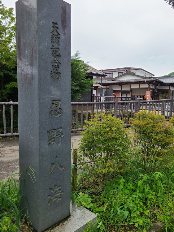 アルファードの家族旅行・富士五湖巡り・山中湖・天気に恵まれずに関するカスタム事例の投稿画像22枚目