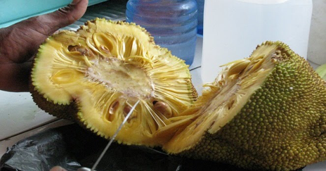 Nangka