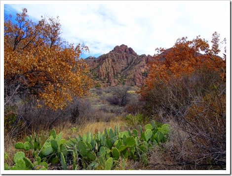 Window Trail...Big Bend