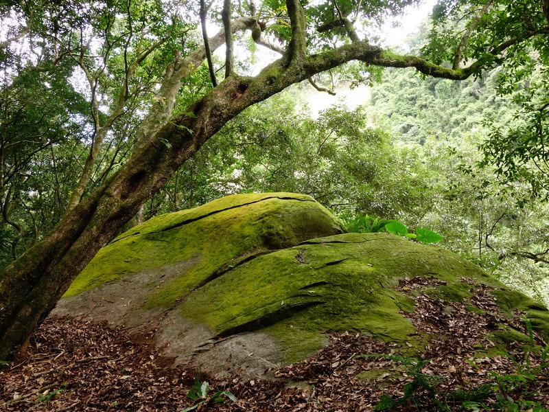 2014_0101-0105 萬山神石、萬山岩雕順訪萬頭蘭山_0607