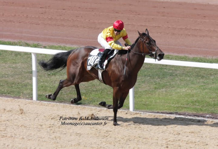Photos Pornichet le 7-08-2015 IMG_3316