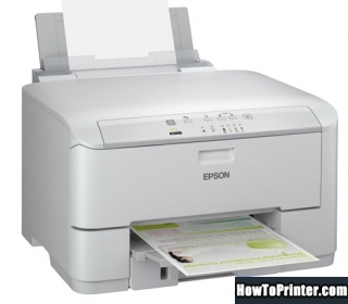 Reset Epson WPM-4011 printer by Resetter program