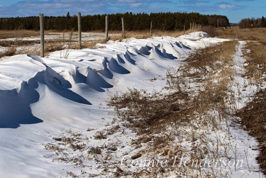 Snow Drifts March 26