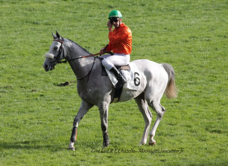 Photos Auteuil 26-09-2015 IMG_4288