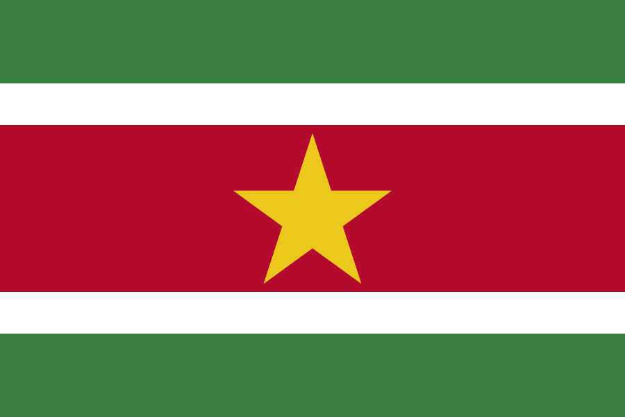 파일:수리남 국기.png