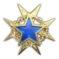 파일:csgo_service_medal_2015_lvl1.png