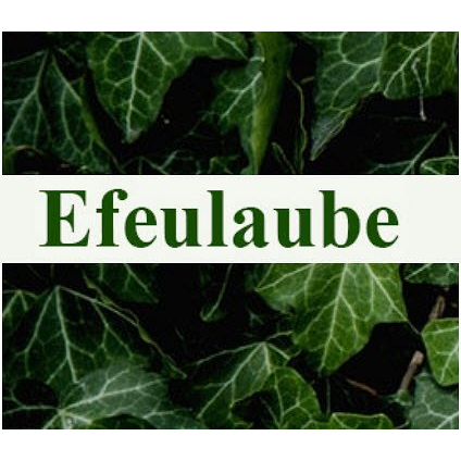 Blumengeschäft Efeulaube logo