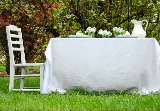 Mesa de verano en el campo.