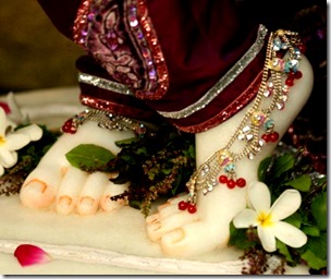 [Krishna's lotus feet]