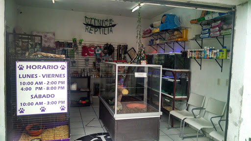 Veterinaria Reptilia, Blvd. Hermenegildo Bustos 4918, Hacienda Echeveste, 37100 León, Gto., México, Cuidados veterinarios | GTO