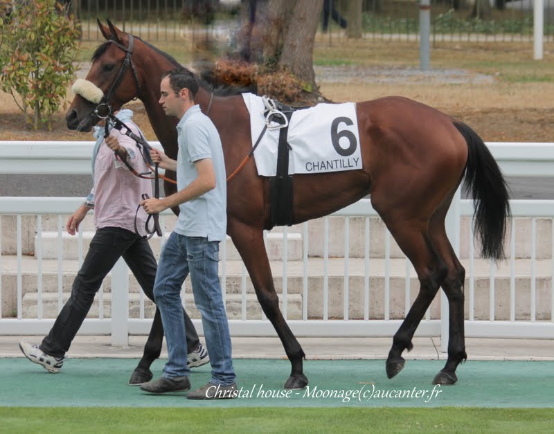 Photos Chantilly 12-07-2015 IMG_2714