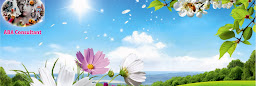 Profile cover photo