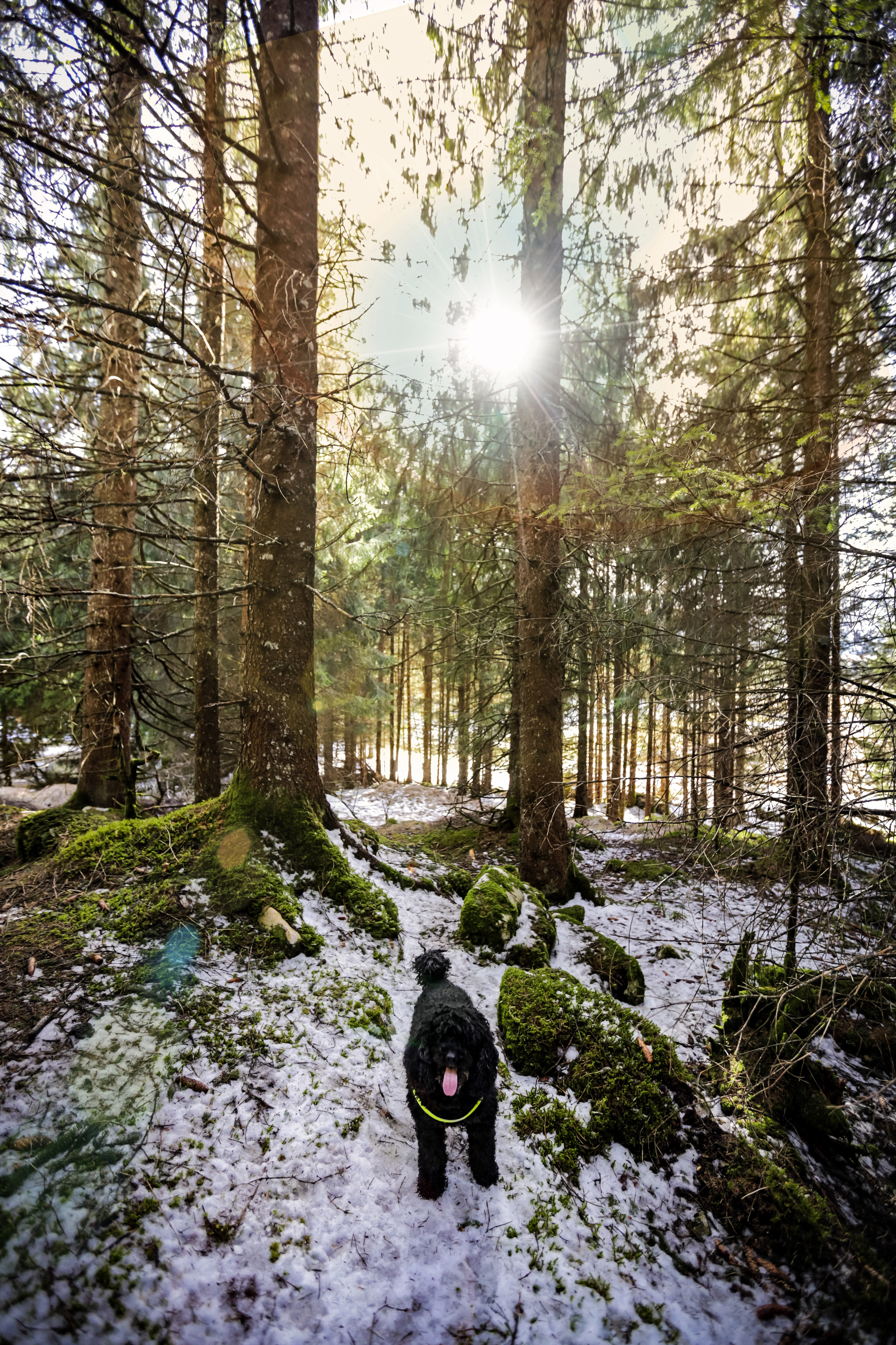 Passeggiate di Fotografa Aurora Trevisan