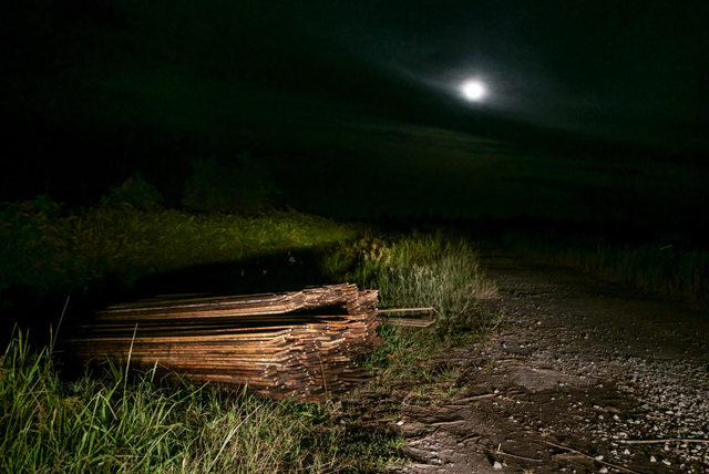 Illegal Logging in PT MPK Concession, Ketapang, 2 March 2018. This photograph shows the pooling area for wood that is ready to be collected by illegal loggers inside PT MPK concession in Sungai Putri, Ketapang, West Kalimantan. Photo: Greenpeace