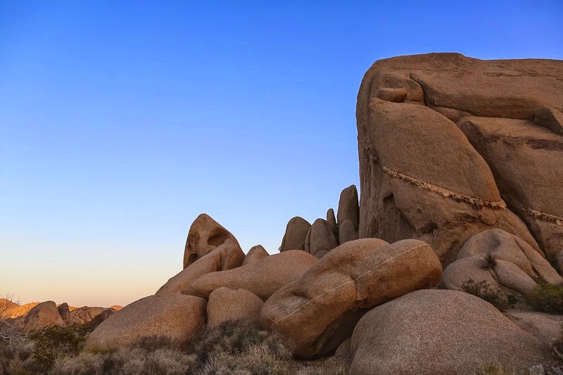 evening in joshua tree-13